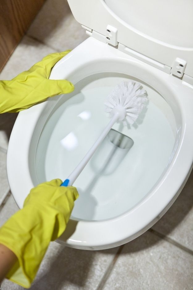 Toilet Cleaners Collection