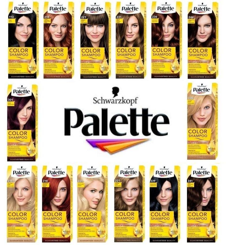 Palette Collection