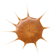 Essence Drop of Sunshine Bronzing Drops - 25ml