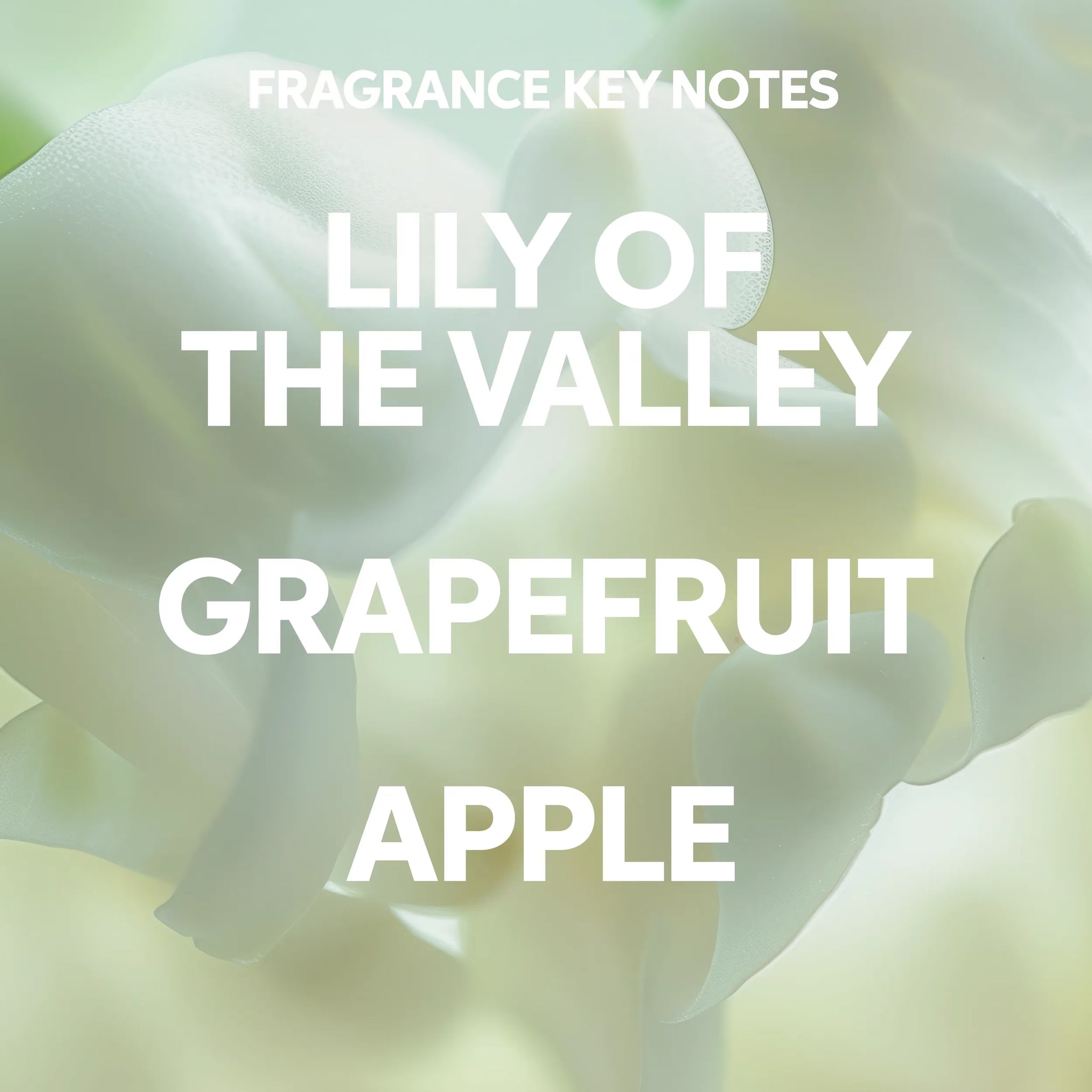 Wella Invigo Clean Scalp korpásodás elleni sampon 250ml – Tisztító sampon korpás, viszkető fejbőrre